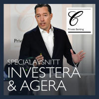 Sektorspecial: Sällanköpsvaror