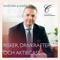 Risker, drivkrafter och aktiecase