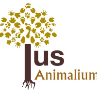 Episode 183. Máster en Derecho Animal y Sociedad, entrevista con la Dra. María Teresa Giménez Cándela