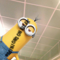 Minions On Fleek