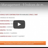 Curso Revenue Management - 9 Índices de medición en los distintos modelos de negocio