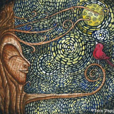 Wonder  Whimsy