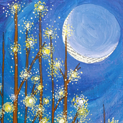 Wonder  Whimsy