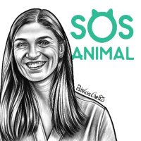 Abandono animal, Vegans, Caça e Tourada | À conversa com Sandra Duarte Cardoso