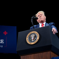 Democratas apostam no acréscimo de novas medidas em processo para desgastar imagem de Trump