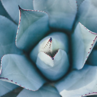 Quando Deus Muda O Seu Nome