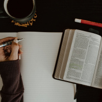 Uma Comunicação Saudável e Eficaz