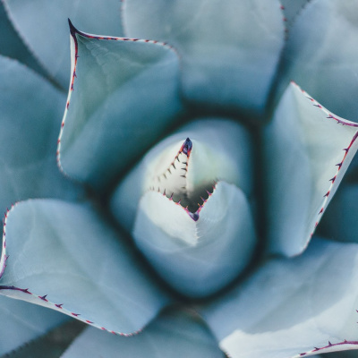 Assembleia De Deus Online | Pregações