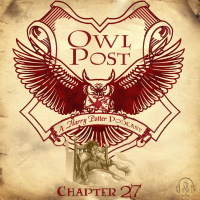 Chapter 027: The Rogue Bludger