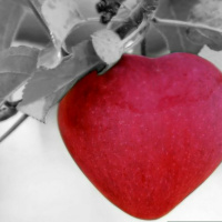 ATIVAR O AMOR INCONDICIONAL | FLAVIAH MOTTA