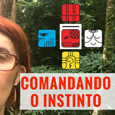 Sincronário 13 Luas