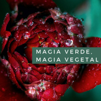 Magia verde, Magia vegetal Cap. 12. la Dualidad mágica