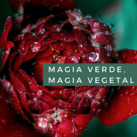 Magia verde, Magia vegetal Cap. 13 Oráculos vegetales