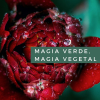 Magia verde, magia vegetal. Cap. 2. Beneficios de usar la magia vegetal
