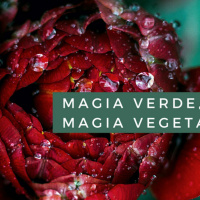 Magia verde, Magia vegetal. Cap. 8 El poder mágico de la higuera