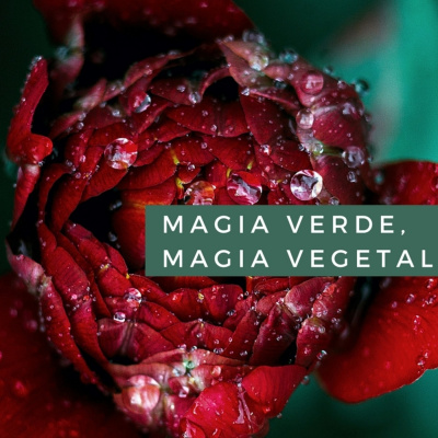 Magia Verde, Magia Vegetal