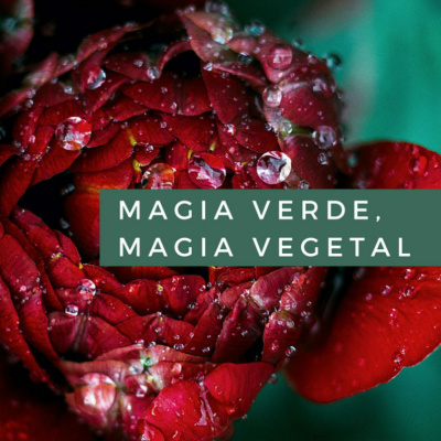 Magia Verde, Magia Vegetal