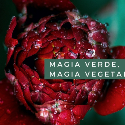 Magia Verde, Magia Vegetal