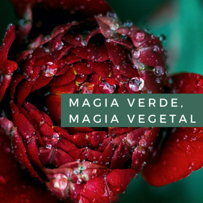 Magia Verde, Magia Vegetal