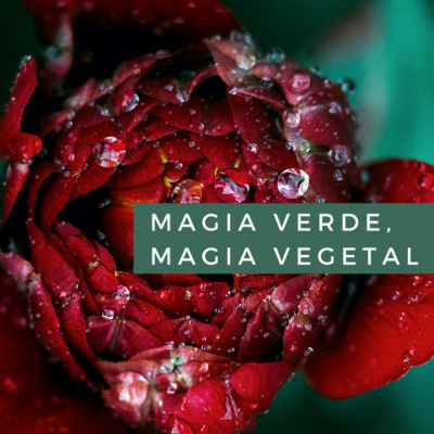 Magia Verde, Magia Vegetal