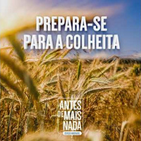 193 :: Prepare-se Para a Colheita
