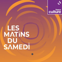Les émotions des cétacés // Le bilan de la politique Afrique dEmmanuel Macron // Noa Eshkol au mahJ 