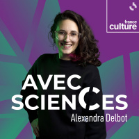 Lagriculture réduit le domaine vital des félins