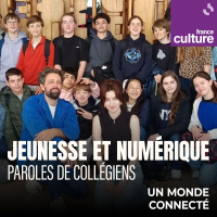 Jeunesse et numérique : paroles de collégiens : Un défi : décrocher des réseaux ! 