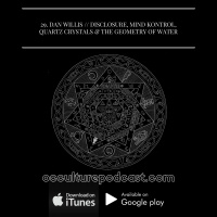 29. Dan Willis in The Web Matrix // Disclosure, Mind Kontrol, Quartz Crystals  the Geometry of Water