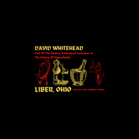 David Whitehead || Cult Of The Medics, Alchemical Inversion  The Return Of Masculinity