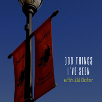 143. J.W. Ocker in “Odd Things I’ve Seen” // Halloween in Salem, Poe’s Hallowed Haunts  Subversive Haunted House Stories