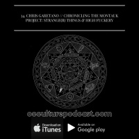 34. Chris Garetano in Strange(r) Things  High Fuckery // The Montauk Project, Time Travel  Other Dimensions
