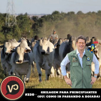 #220 Grilagem para Principantes (ou: como ir passando a boiada) - com Maurício Torres
