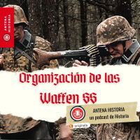 Organización y Estructura de las Waffen SS: Un Análisis Histórico - Episodio exclusivo para mecenas
