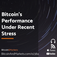 Bitcoins Performance Under Recent Stress - E238a