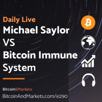 Michael Saylor VS Bitcoin Immune System - Daily Live 12.28.22 | E290