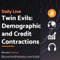 Twin Evils: Demographics and Credit Contractions - Daily Live 11.22.22 | E268