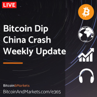 Bitcoin Dip, China Crash, Weekly Update - E365