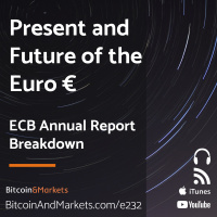 Present and Future of the Euro, ECB Annual Report Breakdown - E232