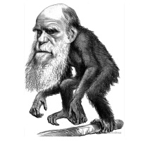 Curso de Filosofía: La evolución biológica según Spencer.