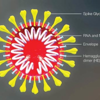 Breve reflexión a propósito de la Epidemia