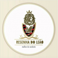 Resenha do Leão - S02 - Programa #14 - Sport x Palmeiras