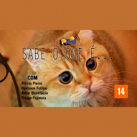 PN 53 - Sabe o Que É...