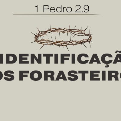 Pregações E Aulas - Igreja Presbiteriana De Santo Amaro