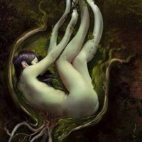 Amor vegetal, nasce da semente e não muda.