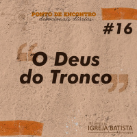 O Deus do tronco [Ponto de Encontro #16]
