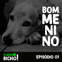 O loco Bicho - Bom menino.