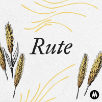 29/01/2023 Mensagem | Rute #04 | Gustavo Santos