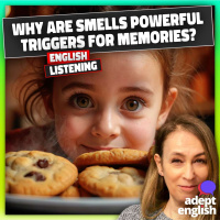 How to Speak About Smells in English-Even If You Are Busy Ep 781