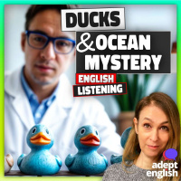 Learn English: How Lego amp Accidents Teach Us About The Sea Ep 775